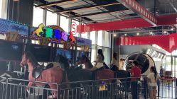 点击看大图 -嗨翻Hi-Fun竞技主题乐园·蹦床团建生日聚会(五棵松华熙店)