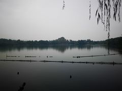 -苏堤停车场