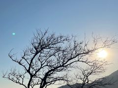 -嵛山岛