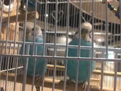 -舌尖上的食缘花园主题餐厅