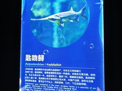 -重庆欢乐海底世界