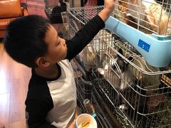 -藦茜花园宠物主题亲子互动体验馆(国顺东路店)