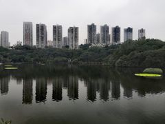-重庆彩云湖湿地公园