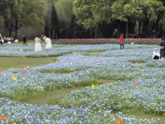 -上海滨江森林公园