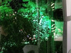 -樽宴酒楼·地道川菜·品质宴请