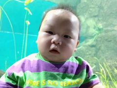 -江和美海洋公园
