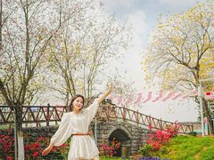 -盈香心动乐园