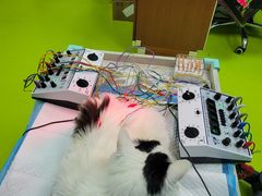 -美联众合动物医院·24h转诊中心