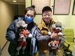 -派多格宠物(御景湾店)