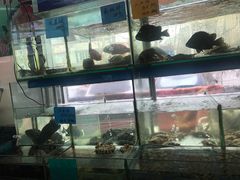 -盐通酒家(金桥湾清水苑店)