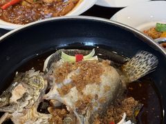 -芙蓉堂(武汉天地店)