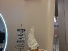 -野人先生现做冰淇淋(北京环宇荟店)