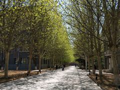 -茶花妹子云南餐厅(传媒大学店)