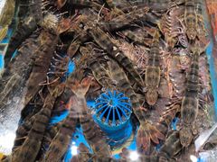 -加餐海鲜自助餐厅(福清万达店)