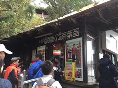 -金盆阿嬷香菇茶叶蛋(玄光店)