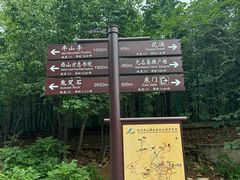 -北京西山国家森林公园