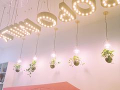 -ICEPOPO MILK(玉兰店)