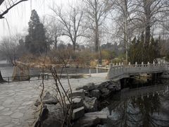-近春园遗址