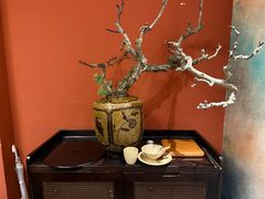 -滇野云南野生菌餐厅(陕西南路店)