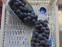 -马陆小张葡萄园农家乐