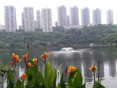 -重庆彩云湖湿地公园