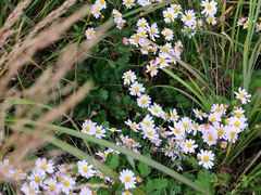 景点-白草畔自然风景区