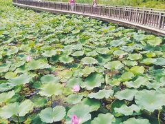 -威海华夏城景区