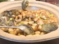 姜豉汁焗龙鼠斑-炳胜品味(海印总店)