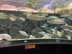 -成都浩海立方海洋公园