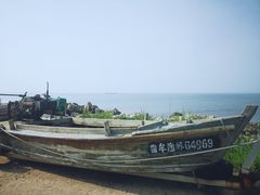 -养马岛旅游度假区