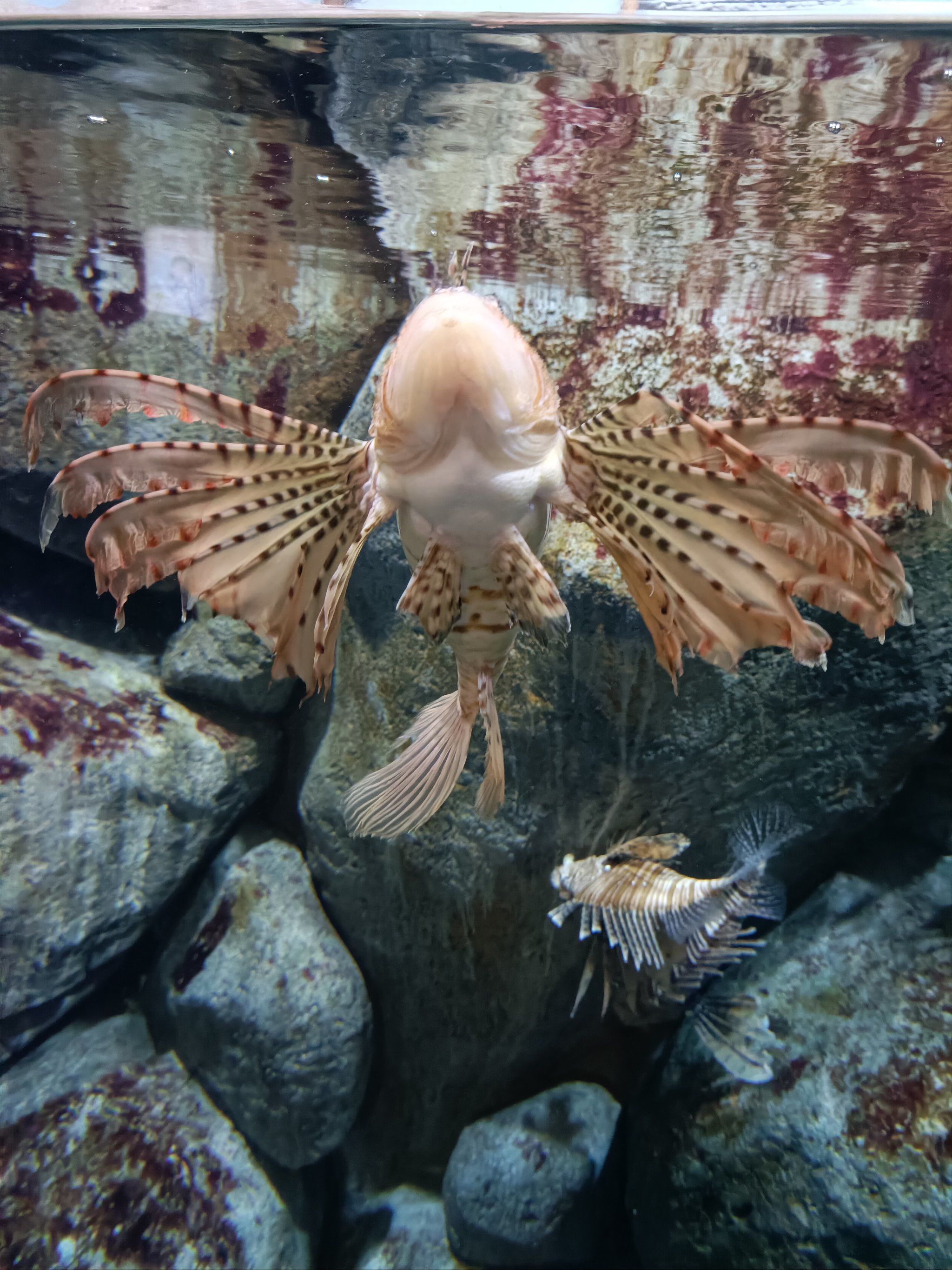 水族馆的奇趣展