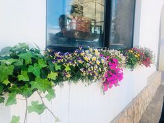 -素心小筑(后沙裕镇店)