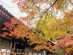 -醍醐寺