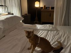 -法云安缦酒店