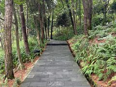 -铁山坪森林公园