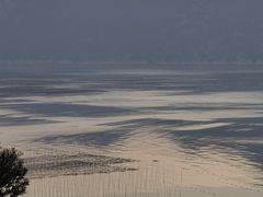 -小皓村