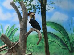 -杭州野生动物世界