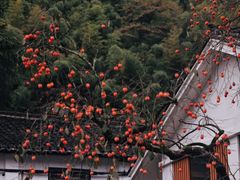 -丹山赤水风景名胜区