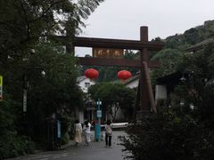 -龙井村