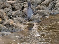 -苏州河梦清园环保主题公园