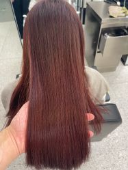 -YESIDO椰岛造型