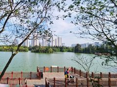 -五缘湾湿地公园