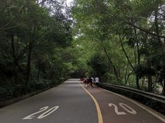 -大屏嶂森林公园