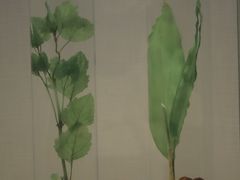 -广东中医药博物馆