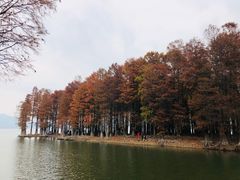 -四明湖