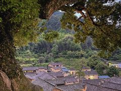 -杨家堂村