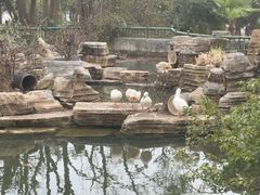 -东湖落雁景区