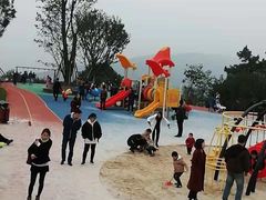 -铁山坪森林公园