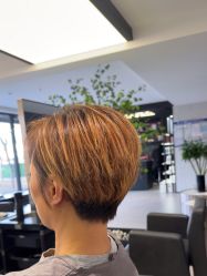 -付军剪艺JF ProSalon