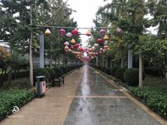 -南宫五洲植物乐园